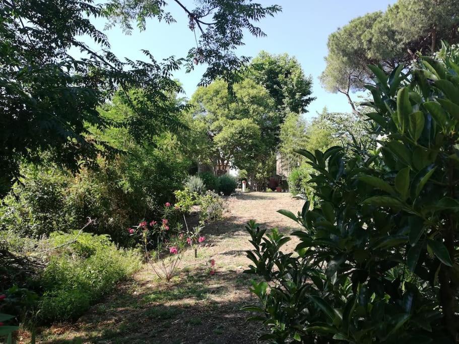 Appartamento Roma, Ngoại thất bức ảnh